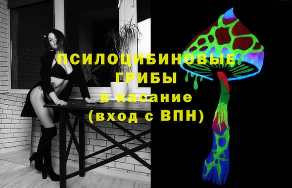 прущие грибы Куйбышев