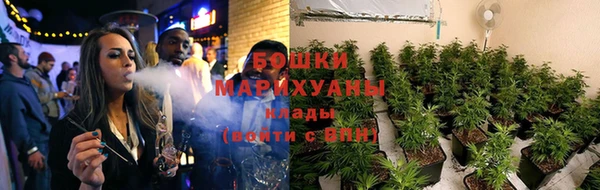 прущие грибы Куйбышев