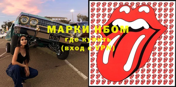прущие грибы Куйбышев